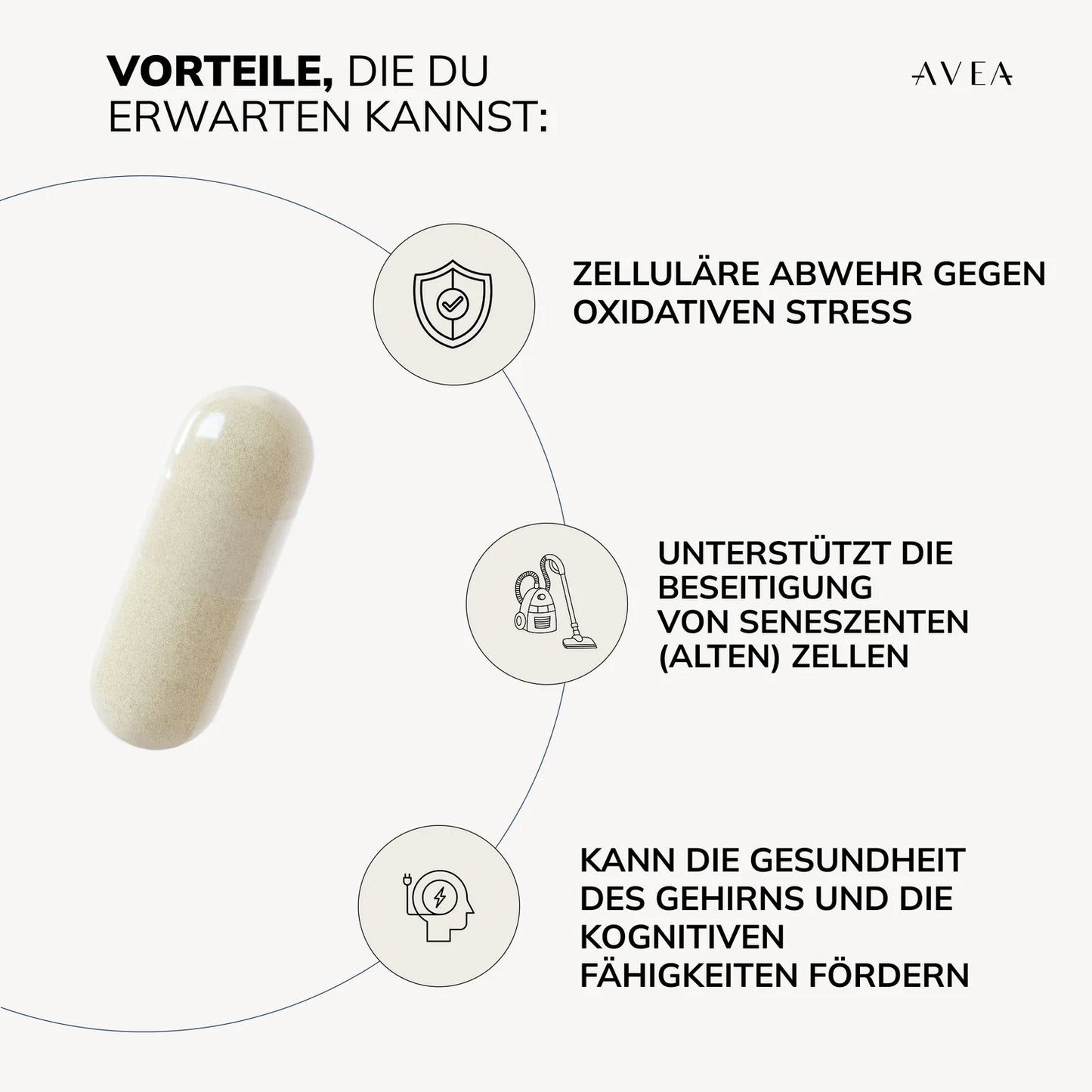 Inflammaging Routine